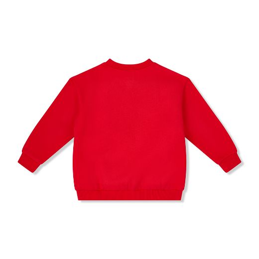 Picture of Bonini Victory Red Jumper