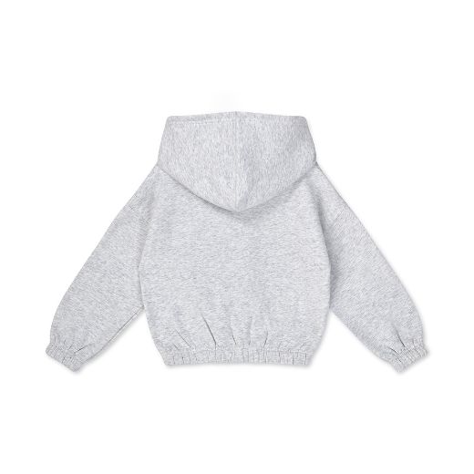 Picture of Bonini Aspire Grey Hoody