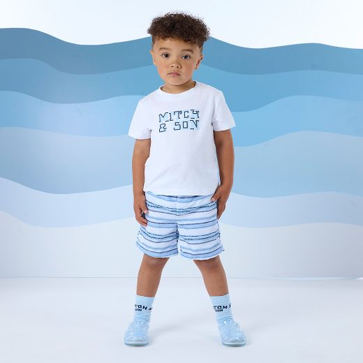 Picture of Mitch & Son Fallon Blue Stripe Swim Shorts